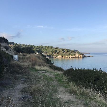 فيلا إزميرفي Tiny House Framed By Nature Near Sea In Karaburun المظهر الخارجي الصورة